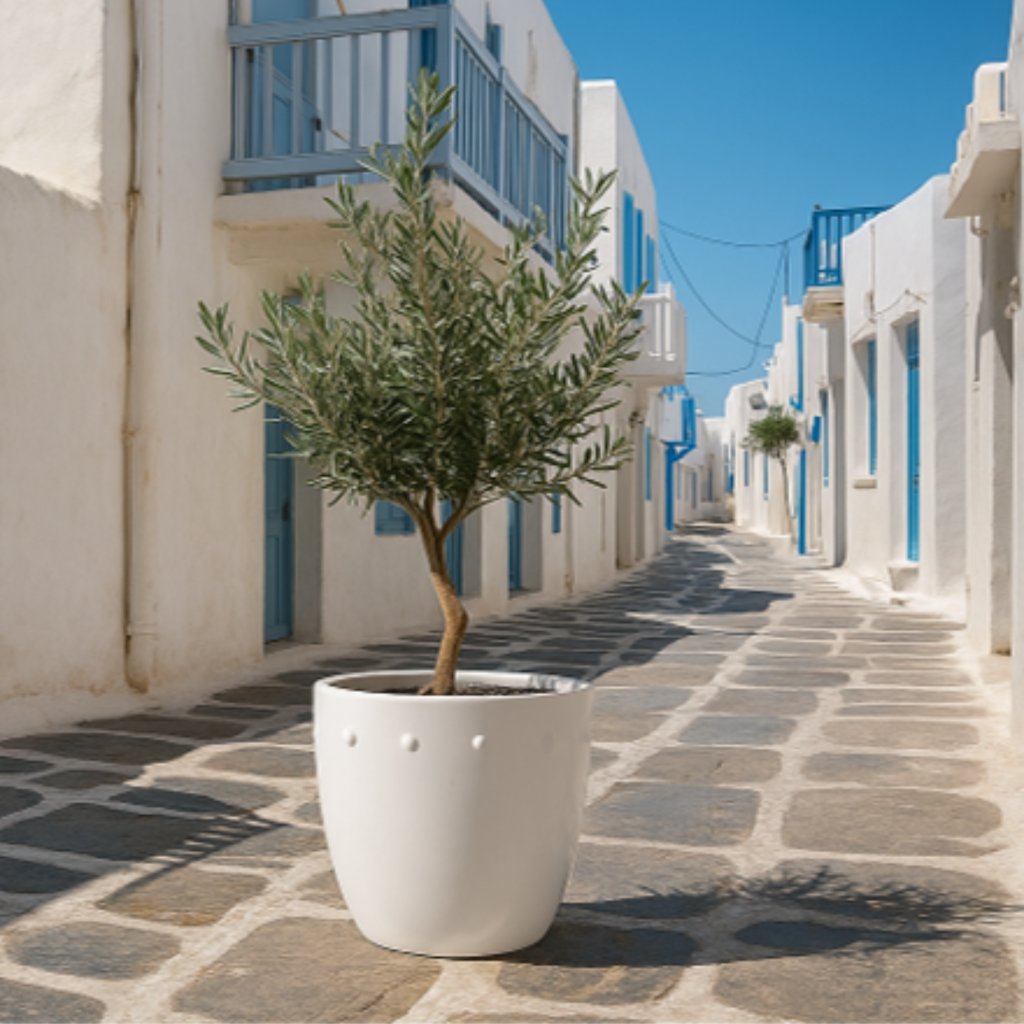 Arinfa planters Serifos
