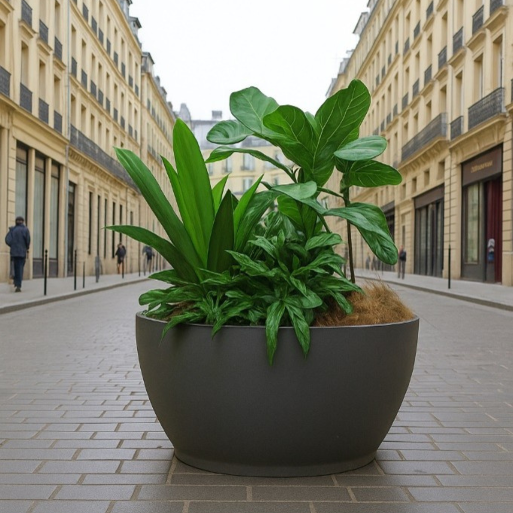 pots and planters Arinfa